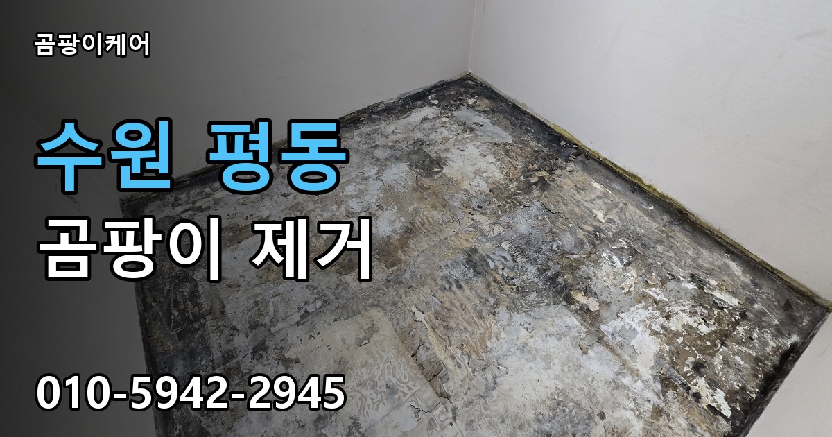 수원 평동 곰팡이 제거 - 곰팡이케어 실제 시공 현장