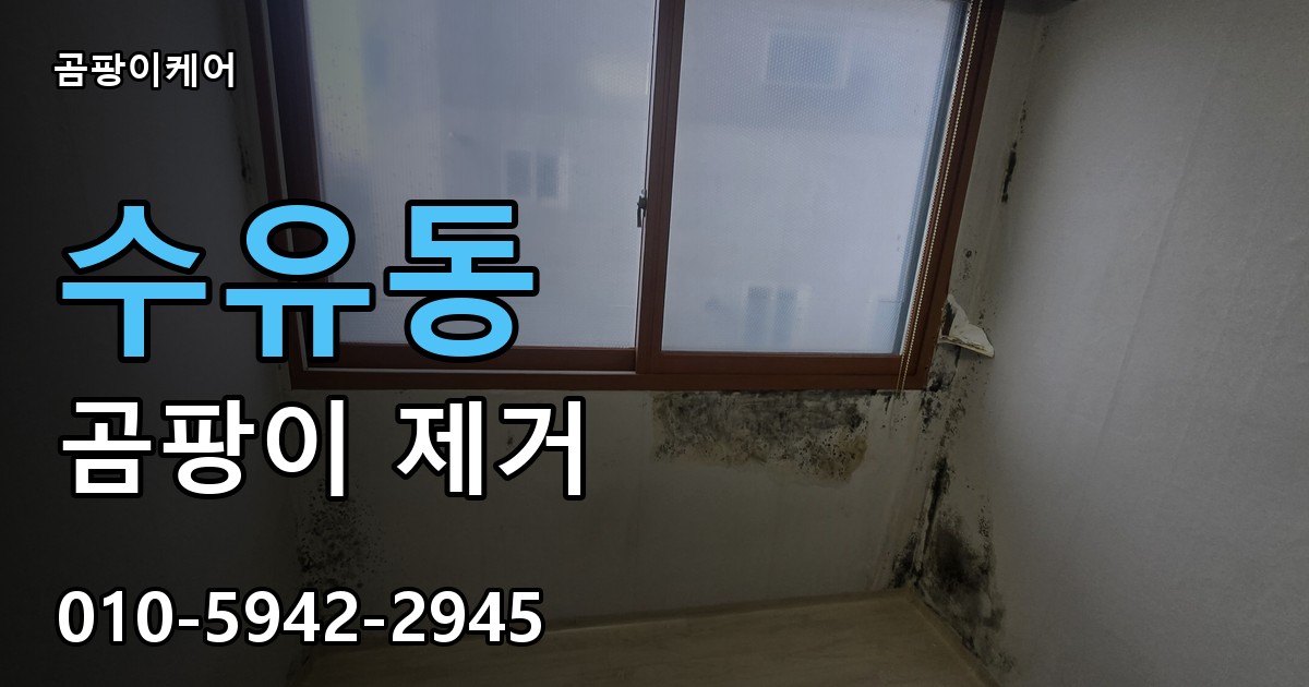 수유동 곰팡이 제거 - 곰팡이케어 실제 시공 현장