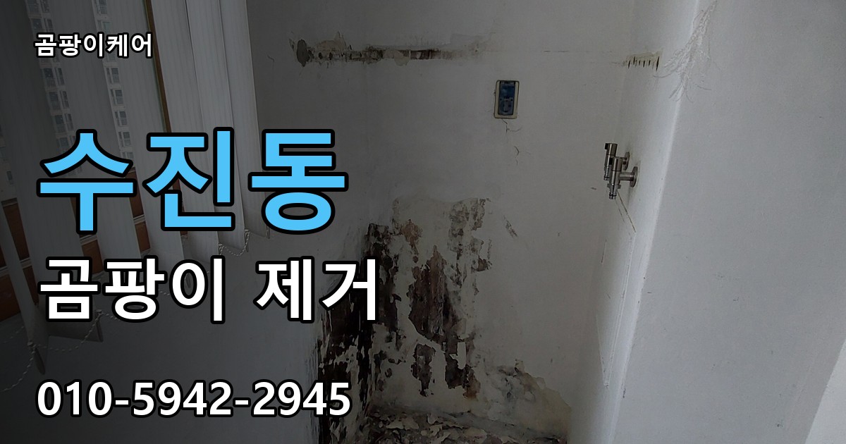 수진동 곰팡이 제거 - 곰팡이케어 실제 시공 현장