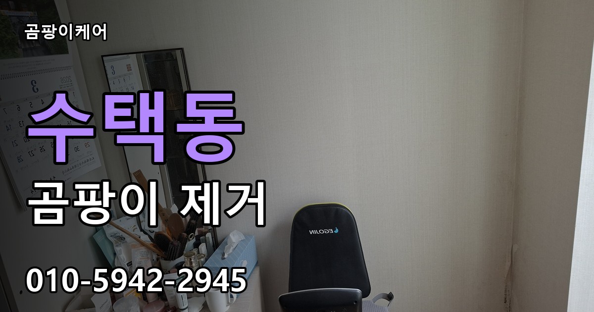 수택동 곰팡이 제거 - 곰팡이케어 실제 시공 현장