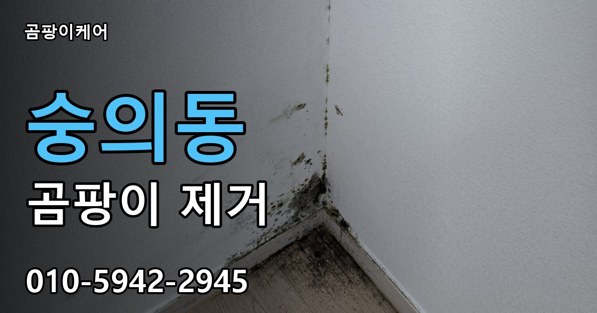 숭의동 곰팡이 제거 - 곰팡이케어 실제 시공 현장