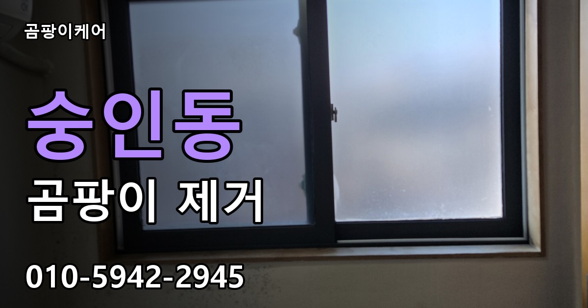 숭인동 곰팡이 제거 - 곰팡이케어 실제 시공 현장