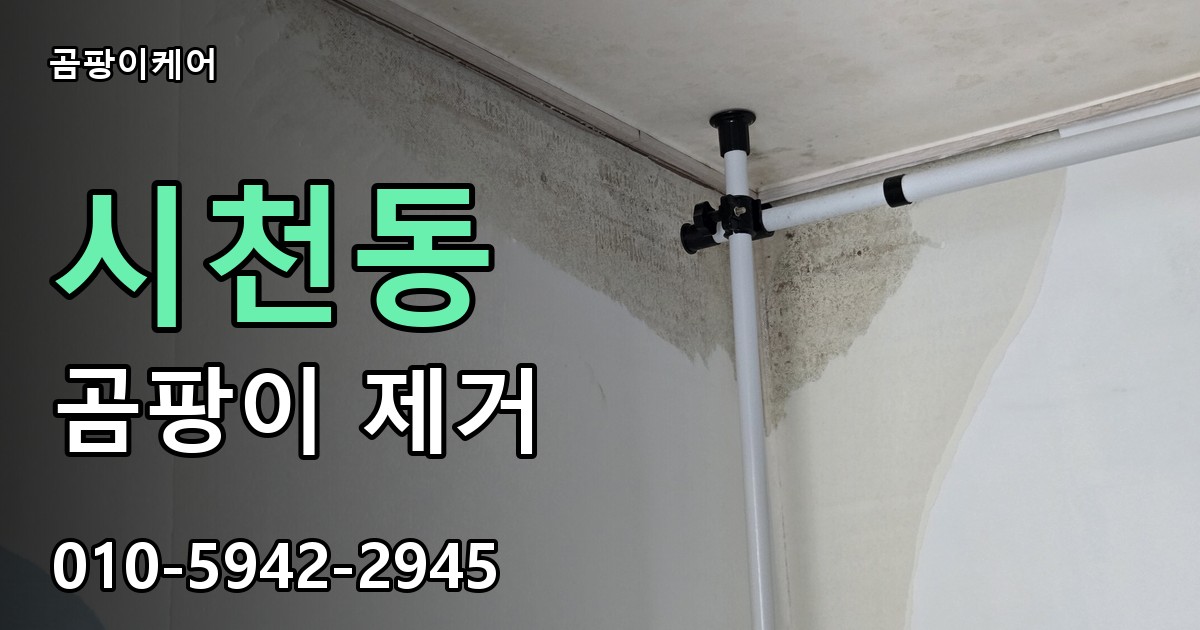 시천동 곰팡이 제거 - 곰팡이케어 실제 시공 현장