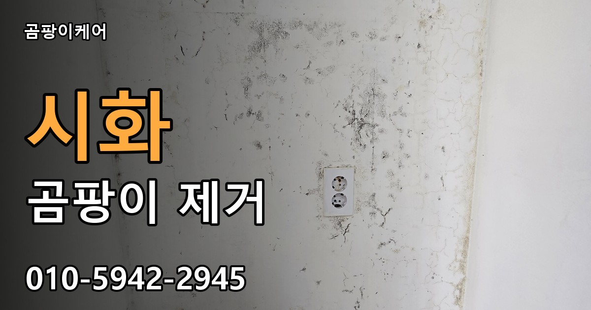 시화 곰팡이 제거 - 곰팡이케어 실제 시공 현장