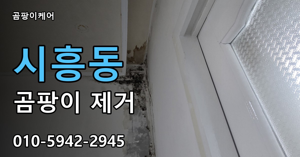 시흥동 곰팡이 제거 - 곰팡이케어 실제 시공 현장