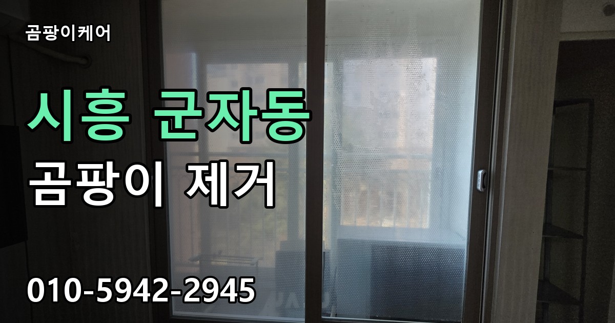 시흥 군자동 곰팡이 제거 - 곰팡이케어 실제 시공 현장