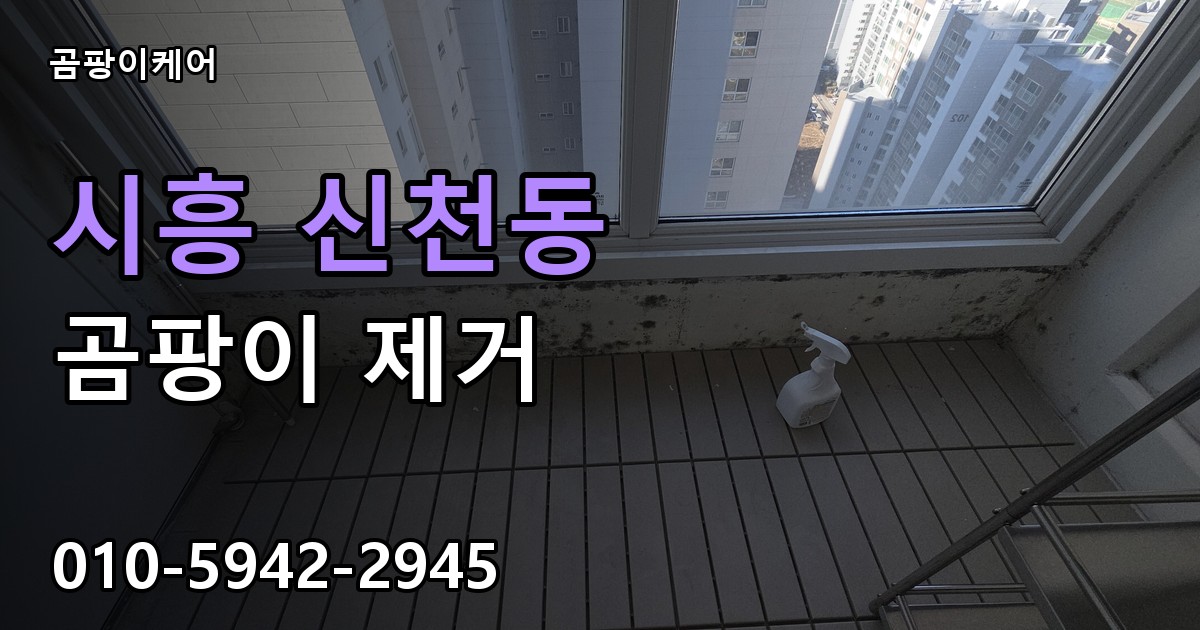 시흥 신천동 곰팡이 제거 - 곰팡이케어 실제 시공 현장