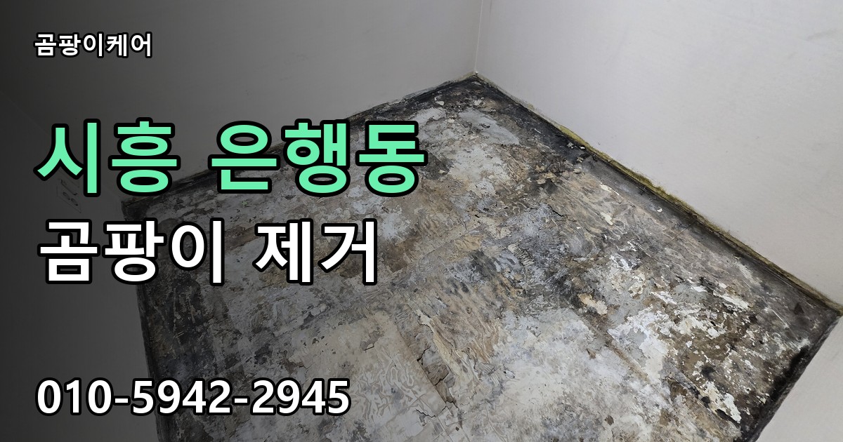 시흥 은행동 곰팡이 제거 - 곰팡이케어 실제 시공 현장