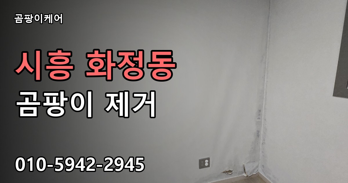 시흥 화정동 곰팡이 제거 - 곰팡이케어 실제 시공 현장