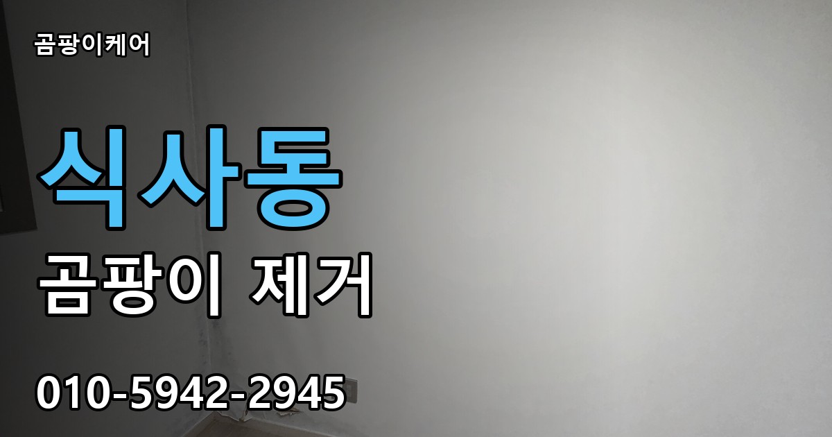 식사동 곰팡이 제거 - 곰팡이케어 실제 시공 현장