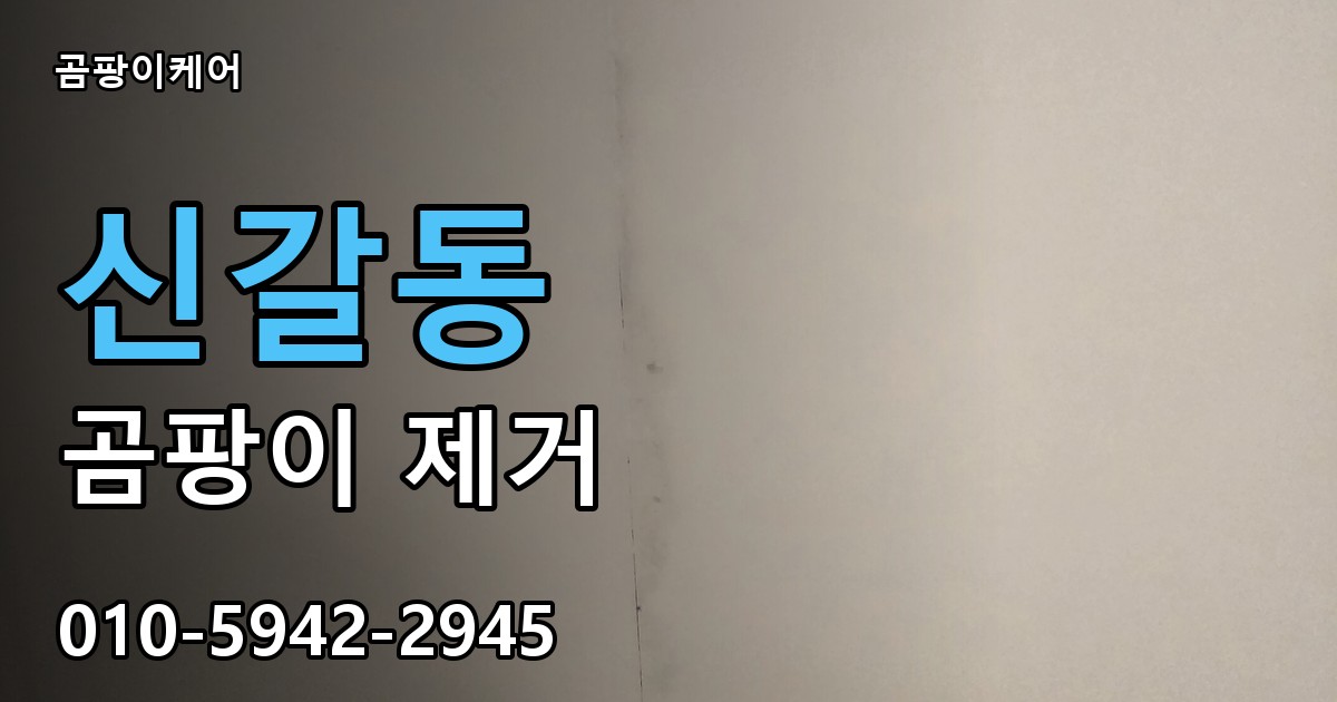 신갈동 곰팡이 제거 - 곰팡이케어 실제 시공 현장