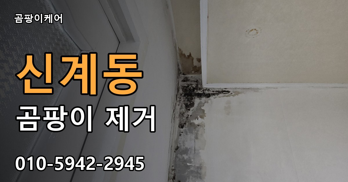 신계동 곰팡이 제거 - 곰팡이케어 실제 시공 현장