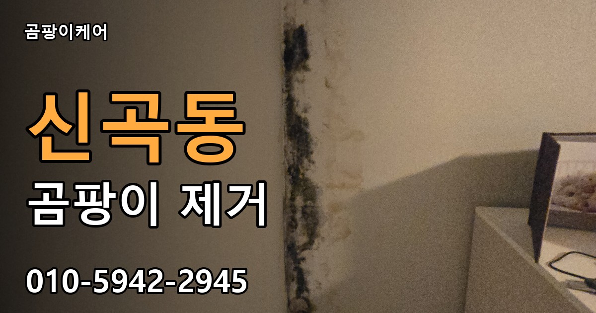 신곡동 곰팡이 제거 - 곰팡이케어 실제 시공 현장