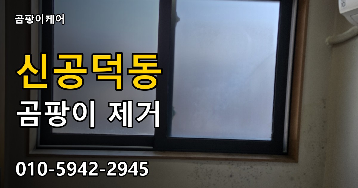 신공덕동 곰팡이 제거 - 곰팡이케어 실제 시공 현장