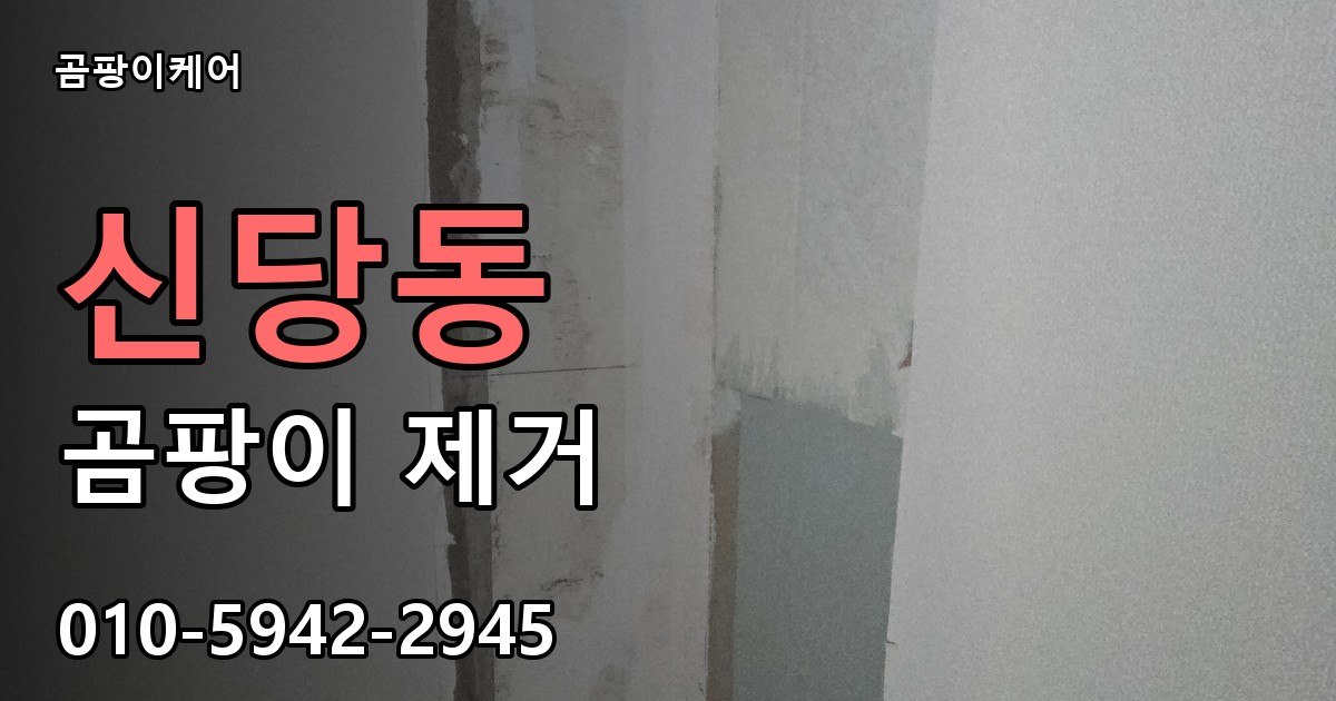 신당동 곰팡이 제거 - 곰팡이케어 실제 시공 현장