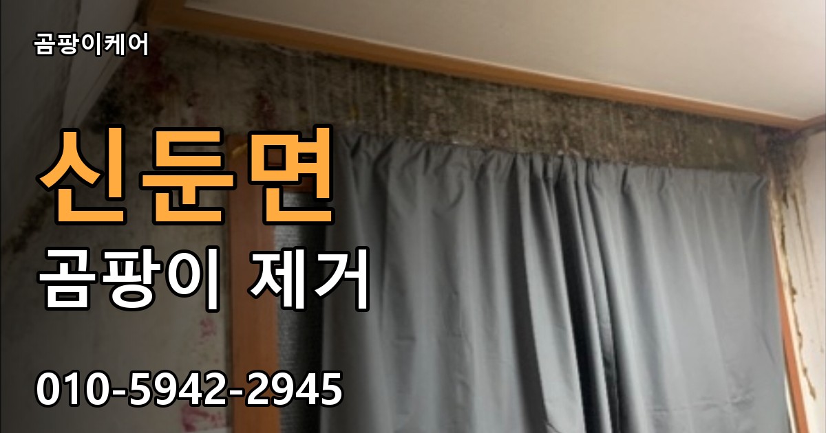 신둔면 곰팡이 제거 - 곰팡이케어 실제 시공 현장