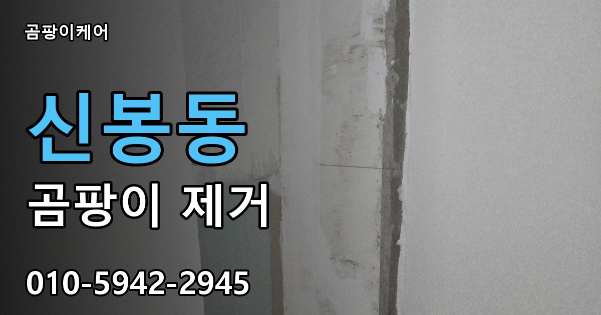 신봉동 곰팡이 제거 - 곰팡이케어 실제 시공 현장