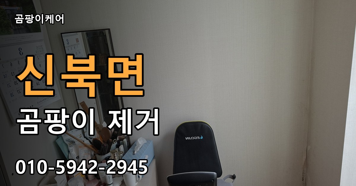 신북면 곰팡이 제거 - 곰팡이케어 실제 시공 현장