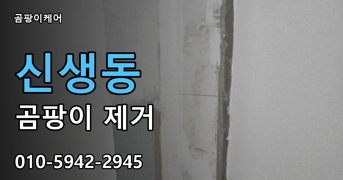 신생동 곰팡이 제거 - 곰팡이케어 실제 시공 현장