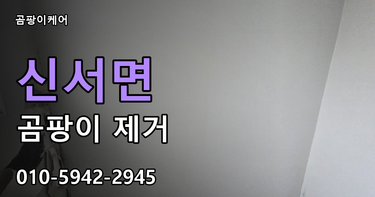 신서면 곰팡이 제거 - 곰팡이케어 실제 시공 현장