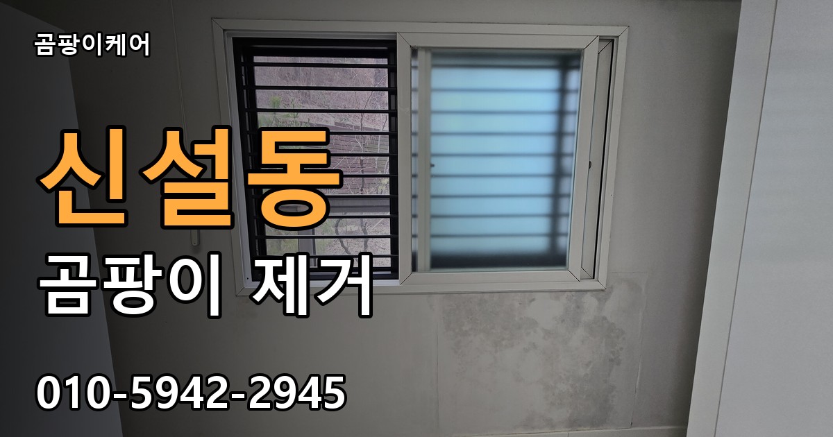 신설동 곰팡이 제거 - 곰팡이케어 실제 시공 현장