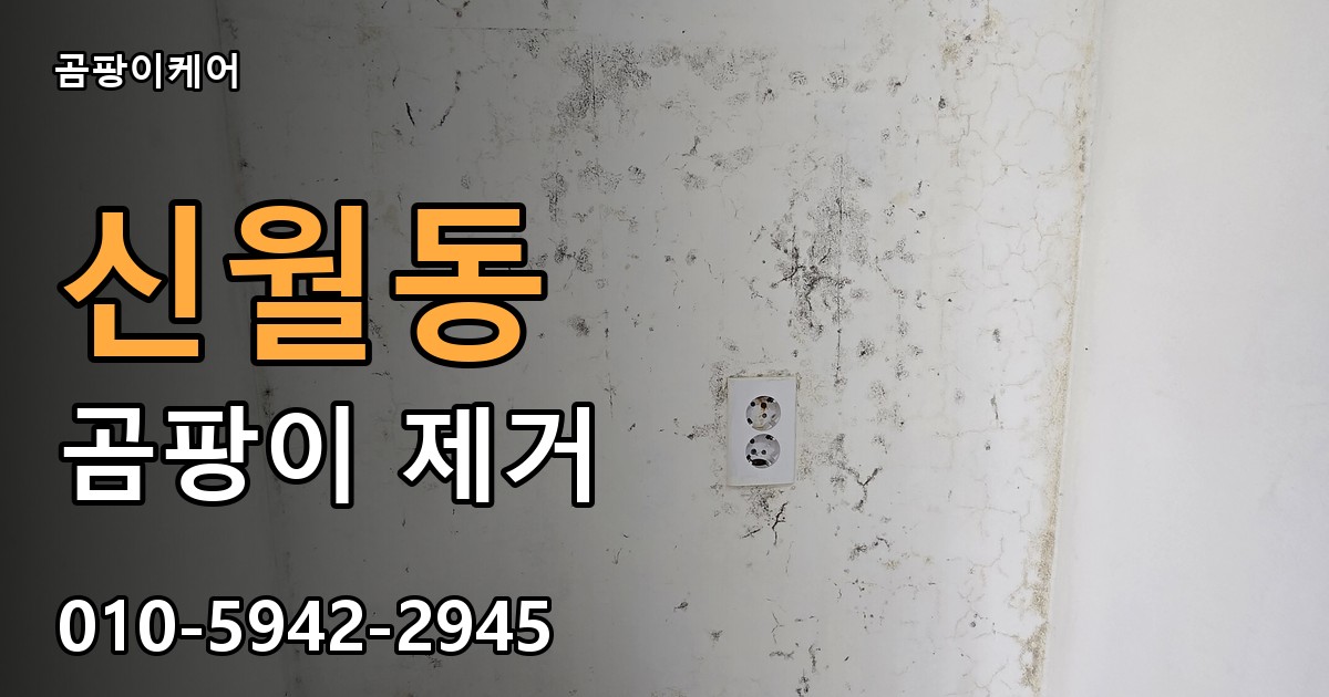 신월동 곰팡이 제거 - 곰팡이케어 실제 시공 현장