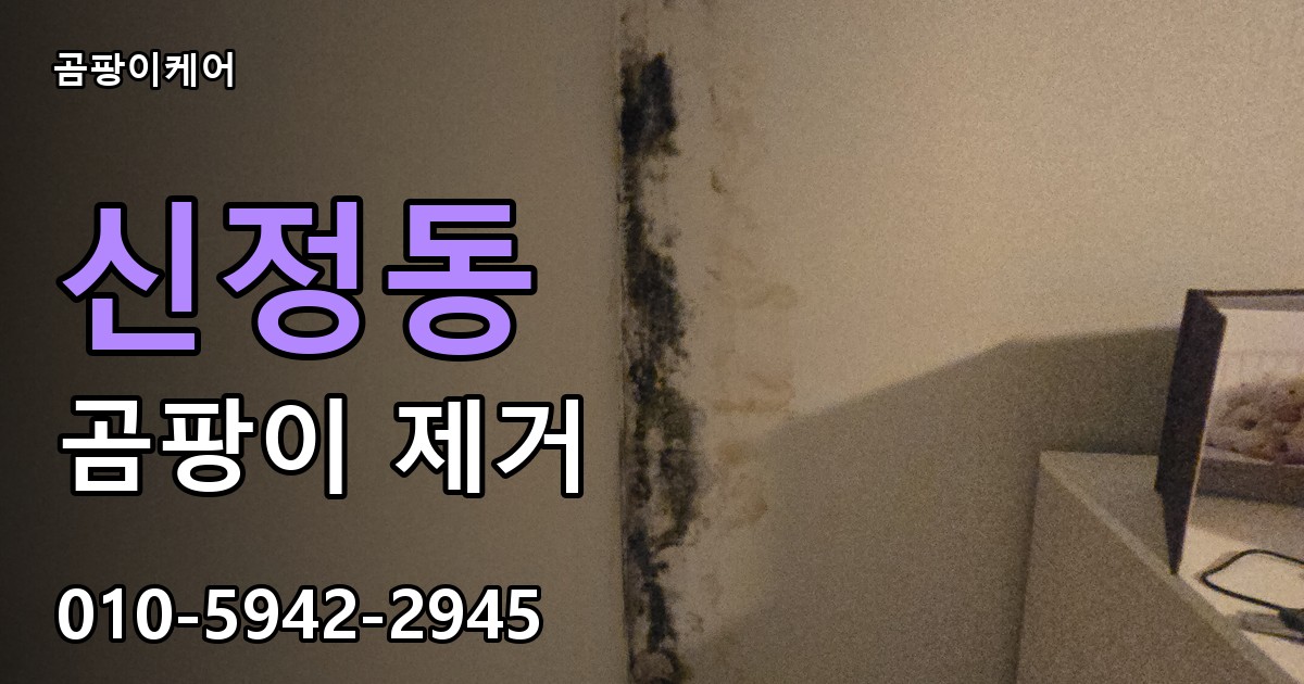 신정동 곰팡이 제거 - 곰팡이케어 실제 시공 현장