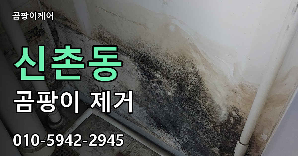 신촌동 곰팡이 제거 - 곰팡이케어 실제 시공 현장