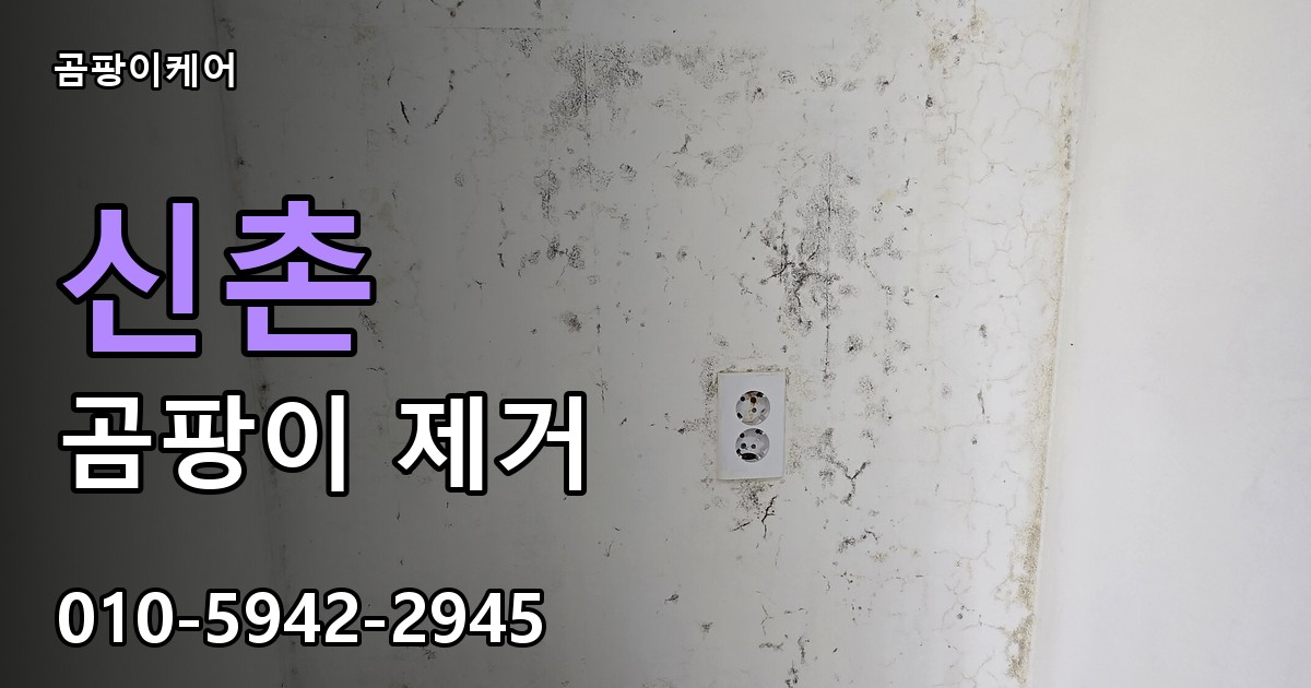 신촌 곰팡이 제거 - 곰팡이케어 실제 시공 현장