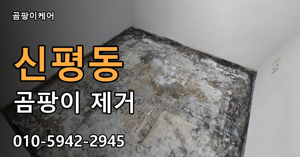 신평동 곰팡이 제거 - 곰팡이케어 실제 시공 현장