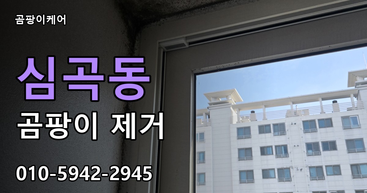 심곡동 곰팡이 제거 - 곰팡이케어 실제 시공 현장