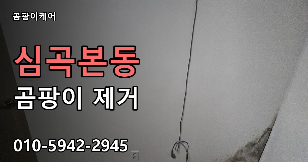 심곡본동 곰팡이 제거 - 곰팡이케어 실제 시공 현장