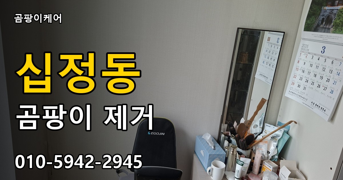 십정동 곰팡이 제거 - 곰팡이케어 실제 시공 현장