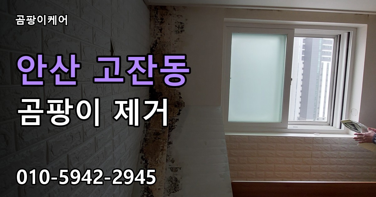 안산 고잔동 곰팡이 제거 - 곰팡이케어 실제 시공 현장