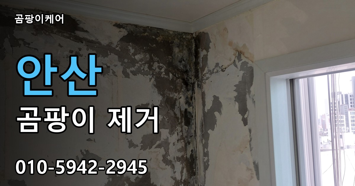 안산 곰팡이 제거 - 곰팡이케어 실제 시공 현장