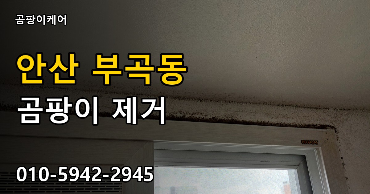 안산 부곡동 곰팡이 제거 - 곰팡이케어 실제 시공 현장
