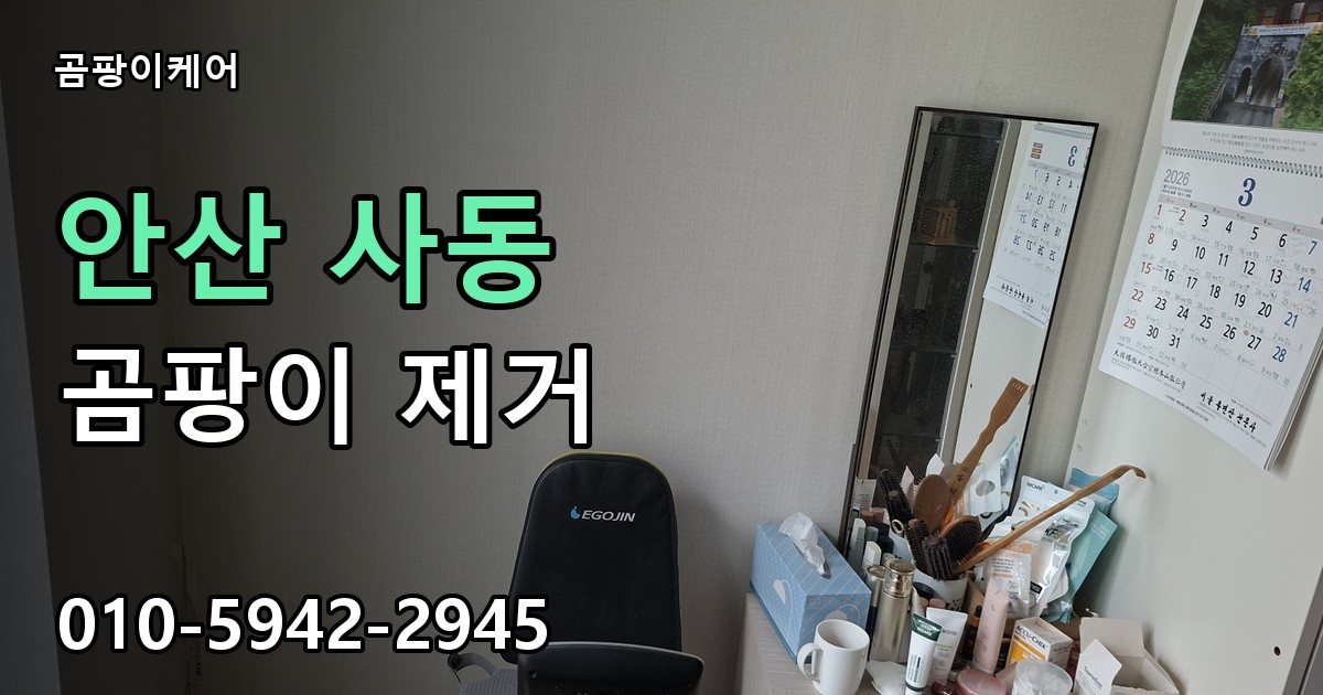 안산 사동 곰팡이 제거 - 곰팡이케어 실제 시공 현장