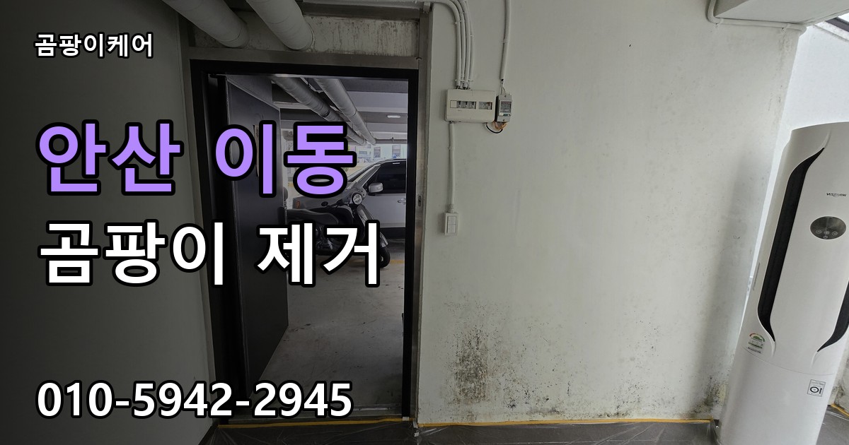 안산 이동 곰팡이 제거 - 곰팡이케어 실제 시공 현장