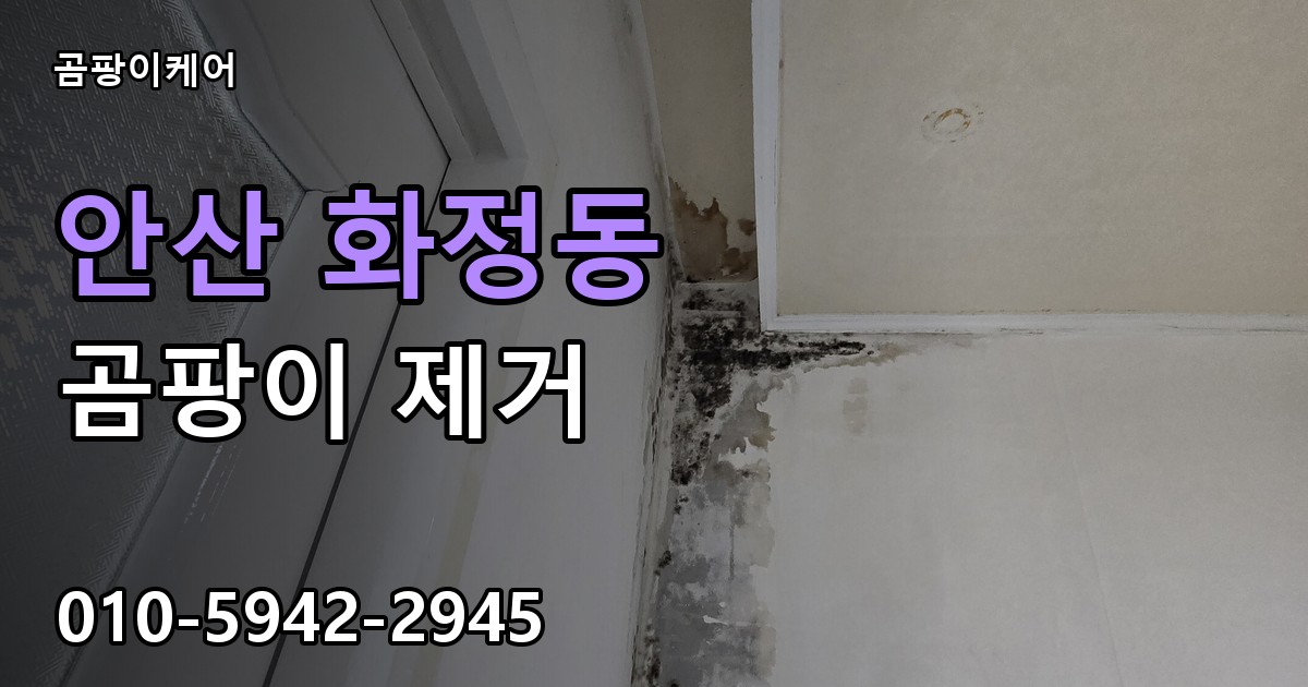 안산 화정동 곰팡이 제거 - 곰팡이케어 실제 시공 현장