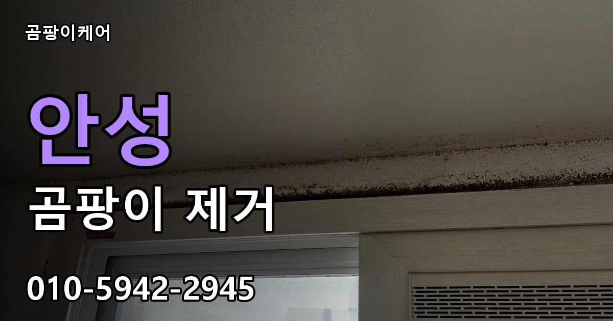 안성 곰팡이 제거 - 곰팡이케어 실제 시공 현장
