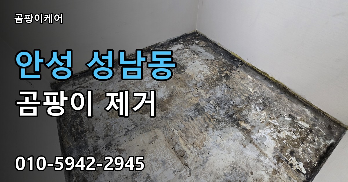 안성 성남동 곰팡이 제거 - 곰팡이케어 실제 시공 현장