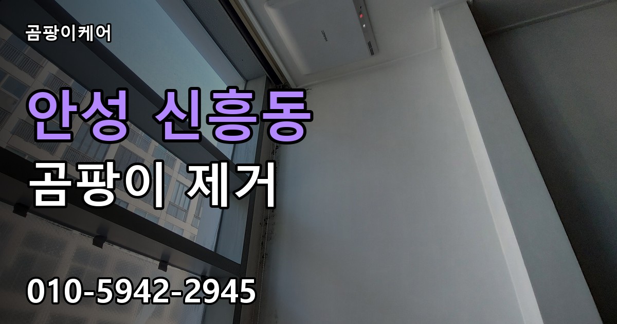 안성 신흥동 곰팡이 제거 - 곰팡이케어 실제 시공 현장