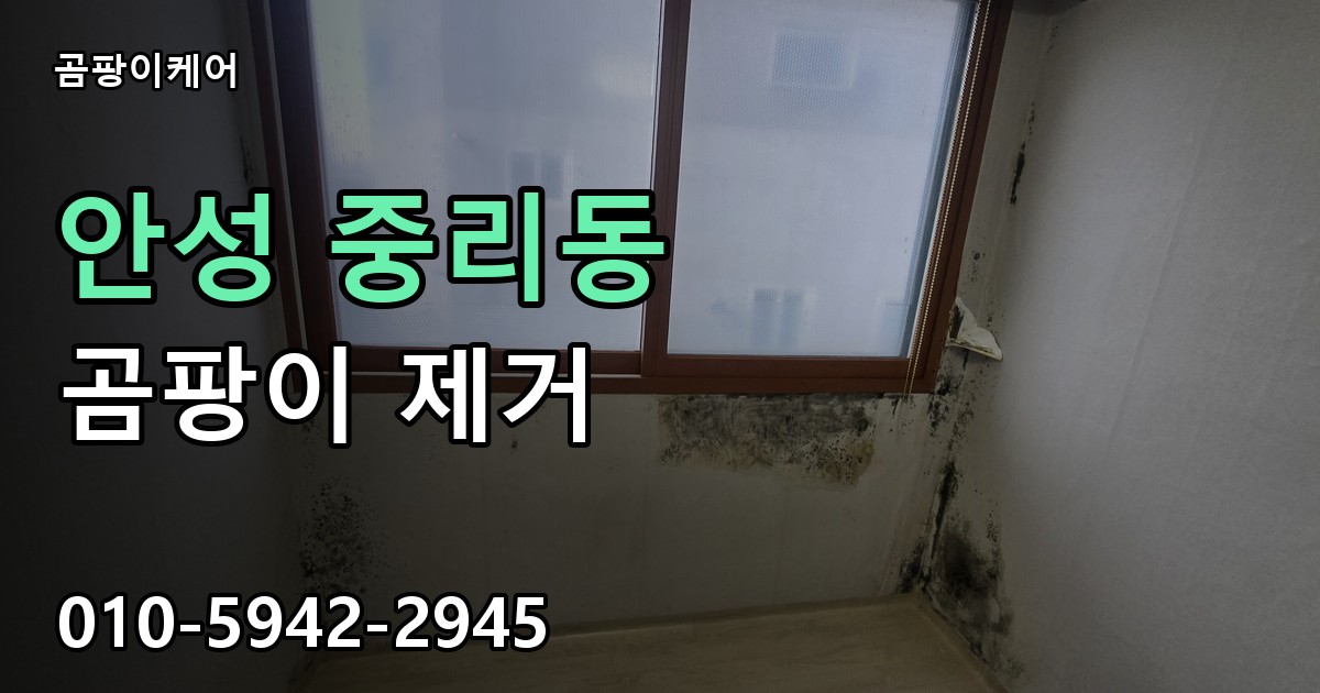 안성 중리동 곰팡이 제거 - 곰팡이케어 실제 시공 현장
