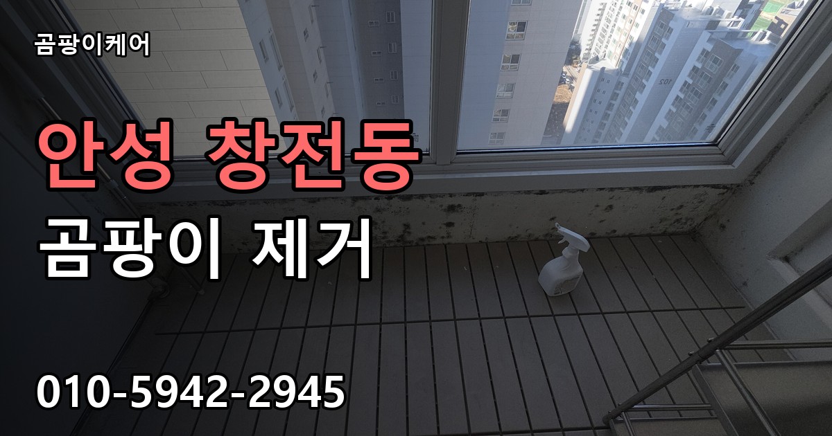 안성 창전동 곰팡이 제거 - 곰팡이케어 실제 시공 현장