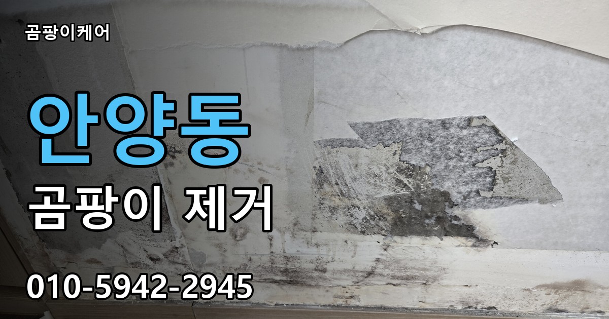 안양동 곰팡이 제거 - 곰팡이케어 실제 시공 현장