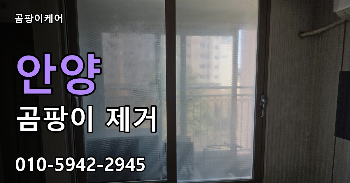 안양 곰팡이 제거 - 곰팡이케어 실제 시공 현장