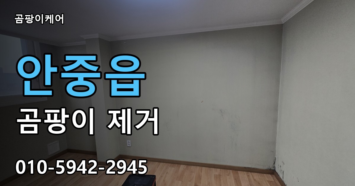 안중읍 곰팡이 제거 - 곰팡이케어 실제 시공 현장