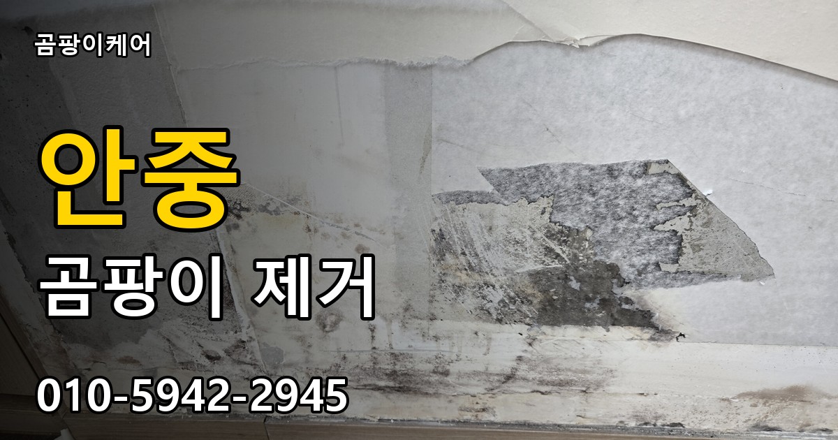 안중 곰팡이 제거 - 곰팡이케어 실제 시공 현장