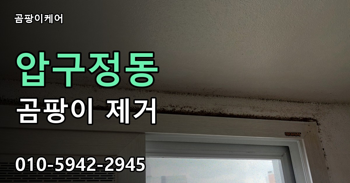 압구정동 곰팡이 제거 - 곰팡이케어 실제 시공 현장