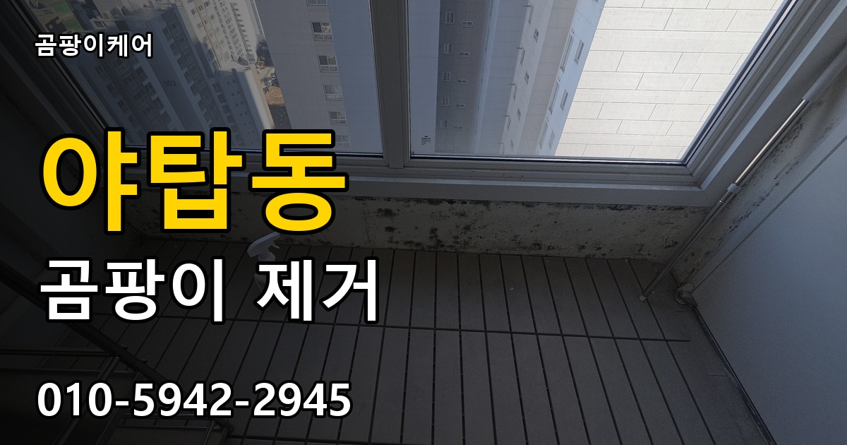 야탑동 곰팡이 제거 - 곰팡이케어 실제 시공 현장